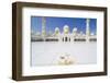 Sheikh Zayed Grand Mosque, Abu Dhabi, United Arab Emirates, Middle East-Fraser Hall-Framed Photographic Print