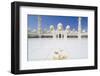 Sheikh Zayed Grand Mosque, Abu Dhabi, United Arab Emirates, Middle East-Fraser Hall-Framed Photographic Print