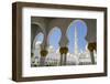 Sheikh Zayed Grand Mosque, Abu Dhabi, United Arab Emirates, Middle East-Fraser Hall-Framed Photographic Print