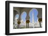 Sheikh Zayed Grand Mosque, Abu Dhabi, United Arab Emirates, Middle East-Fraser Hall-Framed Photographic Print