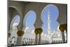 Sheikh Zayed Grand Mosque, Abu Dhabi, United Arab Emirates, Middle East-Fraser Hall-Mounted Photographic Print