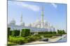 Sheikh Zayed Grand Mosque, Abu Dhabi, United Arab Emirates, Middle East-Fraser Hall-Mounted Photographic Print