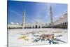 Sheikh Zayed Grand Mosque, Abu Dhabi, United Arab Emirates, Middle East-Fraser Hall-Stretched Canvas