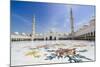 Sheikh Zayed Grand Mosque, Abu Dhabi, United Arab Emirates, Middle East-Fraser Hall-Mounted Photographic Print