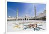 Sheikh Zayed Grand Mosque, Abu Dhabi, United Arab Emirates, Middle East-Fraser Hall-Framed Photographic Print