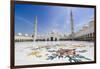 Sheikh Zayed Grand Mosque, Abu Dhabi, United Arab Emirates, Middle East-Fraser Hall-Framed Photographic Print