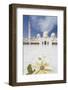 Sheikh Zayed Grand Mosque, Abu Dhabi, United Arab Emirates, Middle East-Fraser Hall-Framed Photographic Print