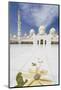 Sheikh Zayed Grand Mosque, Abu Dhabi, United Arab Emirates, Middle East-Fraser Hall-Mounted Photographic Print