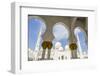 Sheikh Zayed Grand Mosque, Abu Dhabi, United Arab Emirates, Middle East-Fraser Hall-Framed Photographic Print