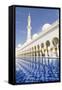 Sheikh Zayed Grand Mosque, Abu Dhabi, United Arab Emirates, Middle East-Fraser Hall-Framed Stretched Canvas