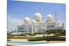 Sheikh Zayed Grand Mosque, Abu Dhabi, United Arab Emirates, Middle East-Fraser Hall-Mounted Premium Photographic Print