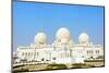 Sheikh Zayed Grand Mosque, Abu Dhabi, United Arab Emirates.-Keren Su-Mounted Photographic Print