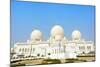 Sheikh Zayed Grand Mosque, Abu Dhabi, United Arab Emirates.-Keren Su-Mounted Photographic Print