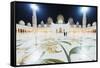 Sheikh Zayed Grand Mosque at Night, Abu Dhabi, United Arab Emirates, Middle East-Christian-Framed Stretched Canvas