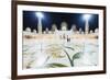 Sheikh Zayed Grand Mosque at Night, Abu Dhabi, United Arab Emirates, Middle East-Christian-Framed Photographic Print