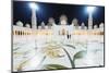 Sheikh Zayed Grand Mosque at Night, Abu Dhabi, United Arab Emirates, Middle East-Christian-Mounted Photographic Print