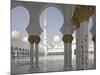 Sheikh Zayed Mosque, Abu Dhabi, United Arab Emirates, Middle East-Angelo Cavalli-Mounted Photographic Print