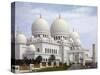 Sheikh Zayed Mosque, Abu Dhabi, United Arab Emirates, Middle East-Angelo Cavalli-Stretched Canvas