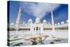 Sheikh Zayed Mosque, Abu Dhabi, United Arab Emirates, Middle East-Fraser Hall-Stretched Canvas