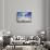 Sheikh Zayed Mosque, Abu Dhabi, United Arab Emirates, Middle East-Fraser Hall-Framed Stretched Canvas displayed on a wall