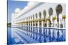 Sheikh Zayed Mosque, Abu Dhabi, United Arab Emirates, Middle East-Fraser Hall-Stretched Canvas