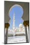 Sheikh Zayed Mosque, Abu Dhabi, United Arab Emirates, Middle East-Fraser Hall-Mounted Photographic Print