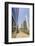 Sheikh Zayed Road, Dubai, United Arab Emirates, Middle East-Amanda Hall-Framed Photographic Print
