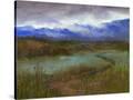 Stretched Canvas