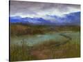 Stretched Canvas