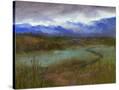 Stretched Canvas
