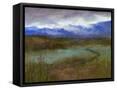 Canvas Black
