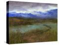 Stretched Canvas