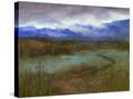 Stretched Canvas