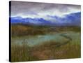 Stretched Canvas