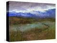 Stretched Canvas