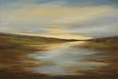 Meadow Sunset-Sheila Finch-Art Print