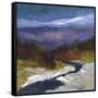 Canvas Black