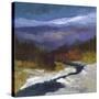 Stretched Canvas