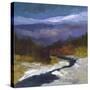 Stretched Canvas