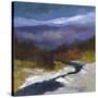 Stretched Canvas