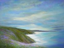 Coastal Sky #2-Sheila Finch-Art Print