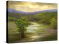 Stretched Canvas