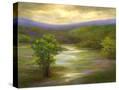 Stretched Canvas