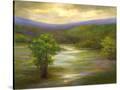 Stretched Canvas