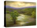 Stretched Canvas
