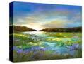 Stretched Canvas