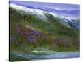 Stretched Canvas
