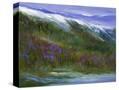 Stretched Canvas
