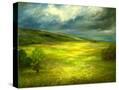 Stretched Canvas