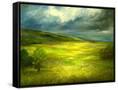 Canvas Black